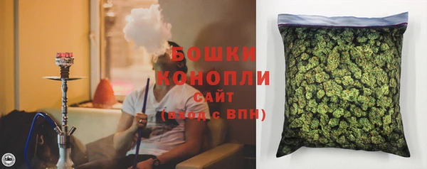 сатива Лагань