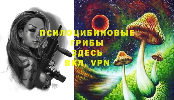МДМА Абаза