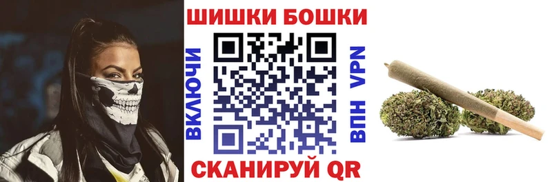 где найти   Александровск-Сахалинский  Конопля сатива 